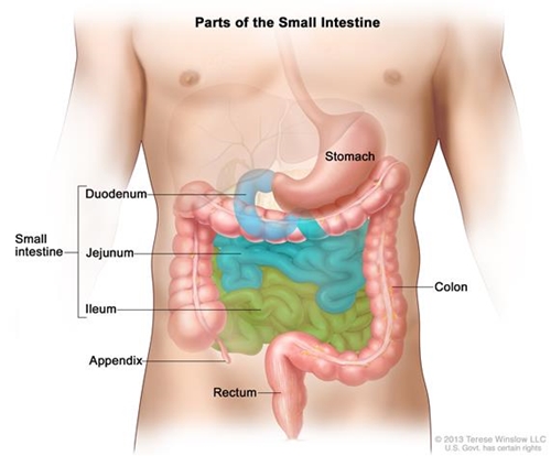 Duodenal picture