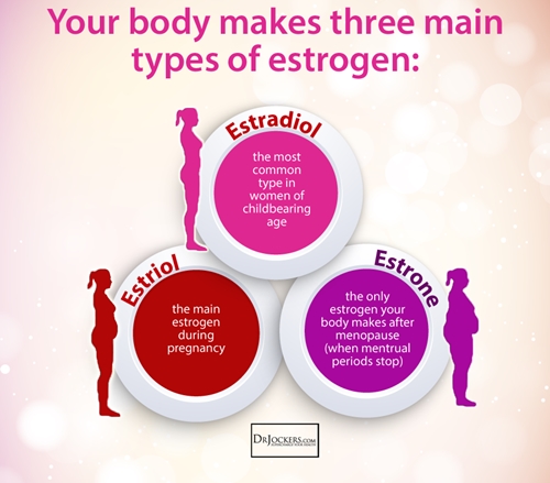 Types of estrogens picture