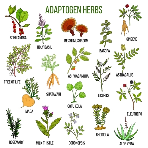 Adaptogens picture